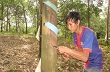 Giảm nghèo ấn tượng